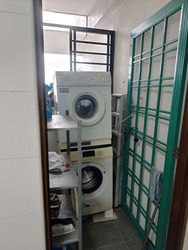 Fortune Park (D19), Condominium #595879391